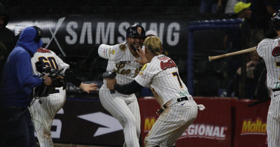 Celebración - Felinos