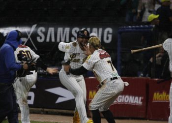 Celebración - Felinos