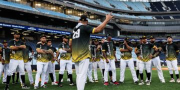 Leones y Caribes vuelven a posponer su encuentro por lluvía