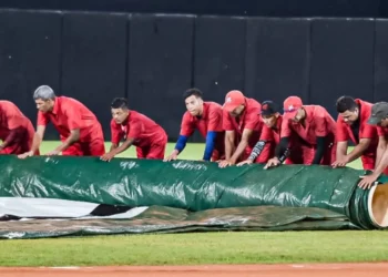Pospuesto por lluvía otro encuentro de los Leones