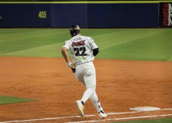 Leones del Caracas 2025-2026