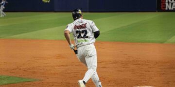 Leones del Caracas 2025-2026