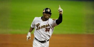Daniel Mayora está de vuelta con los Leones del Caracas